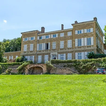 Apartment Le Grand Duplex Du Chateau Proche De Lyon